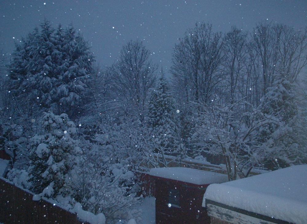 Snowy Morning in Feb.jpg
