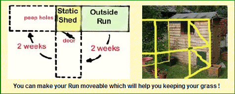 Plan for moveable run around Chicken Shed