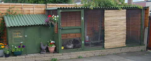 chicken coop against a fence