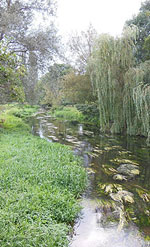 The River at Godmersham