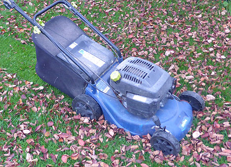 Collecting leaf mould in a Rotary Mower